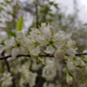 Meet your Posher, Jack